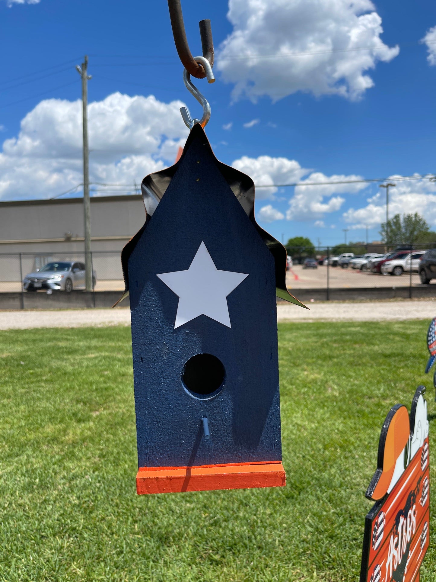 Bird House with Baseballs
