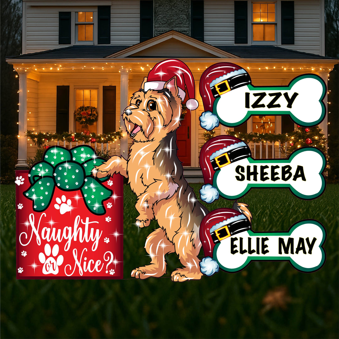 Shaggy Brown Dog on Top of Christmas Present