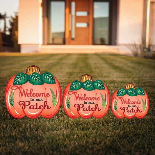 Welcome to our Patch Pumpkin Available in Three Sizes