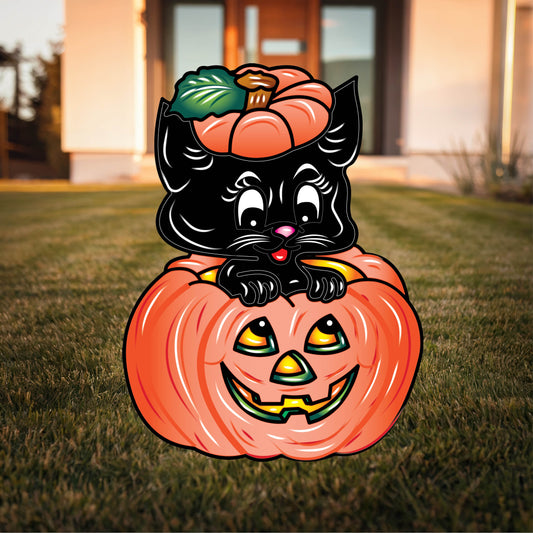 Black Kitty in a large pumpkin