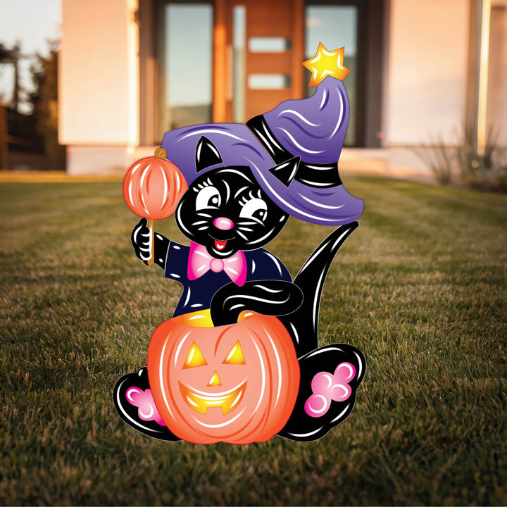 Black Kitty with wide purple hat