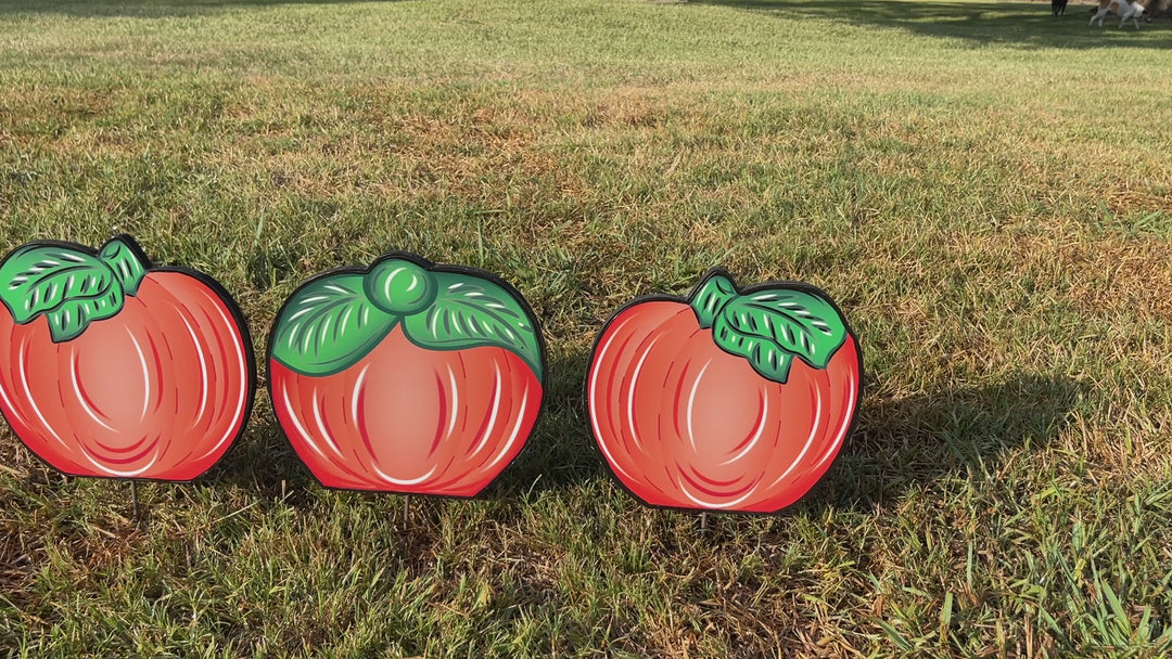 Small Pumpkin with leaves on each side at the top