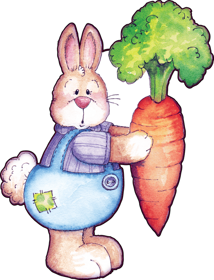 Happy Easter Bunny Holds A Carrot Outdoor Decoration