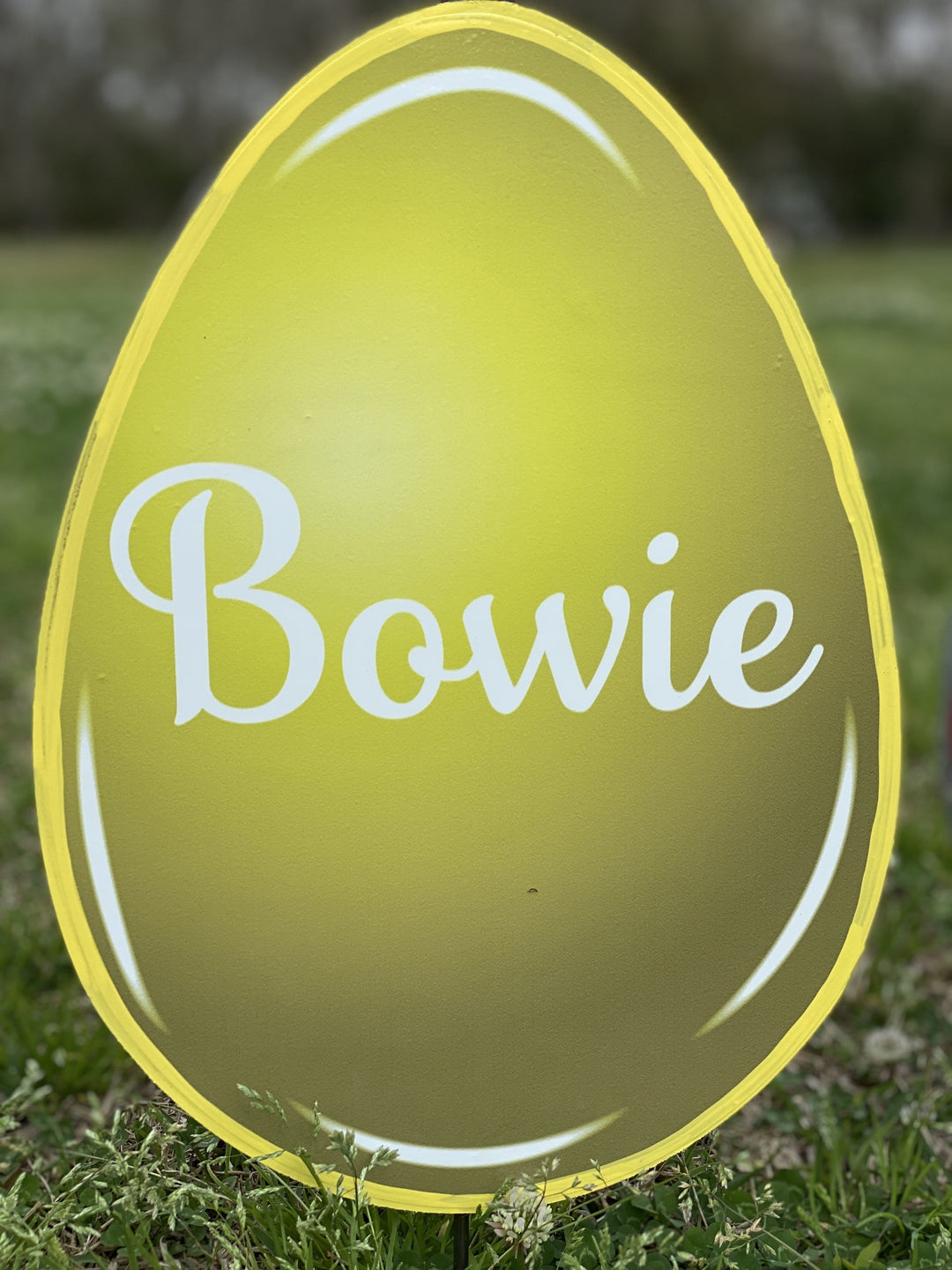 Easter Yard Art-Easter Eggs Solid Colors Personalized