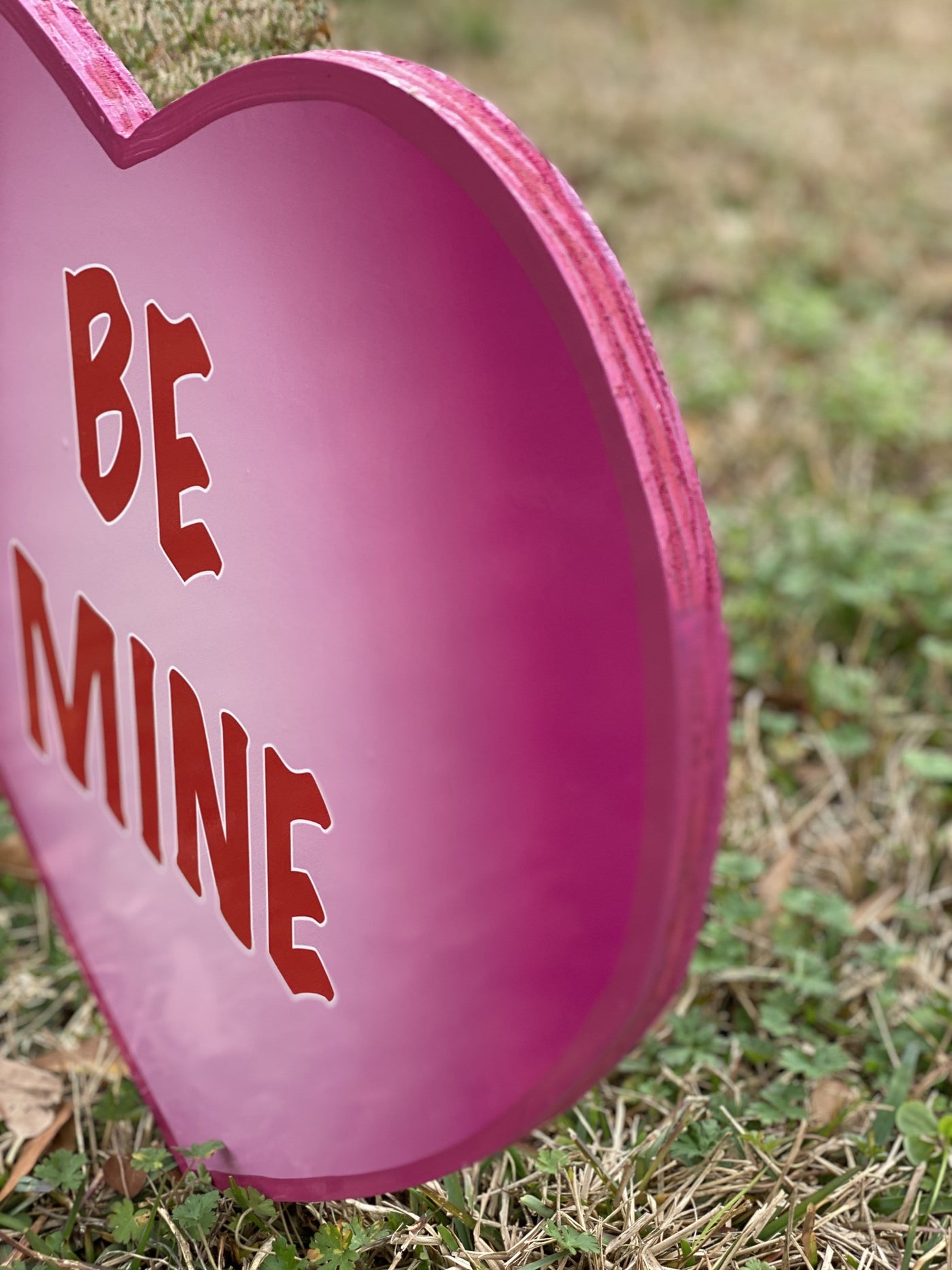 Valentines Day Yard Art