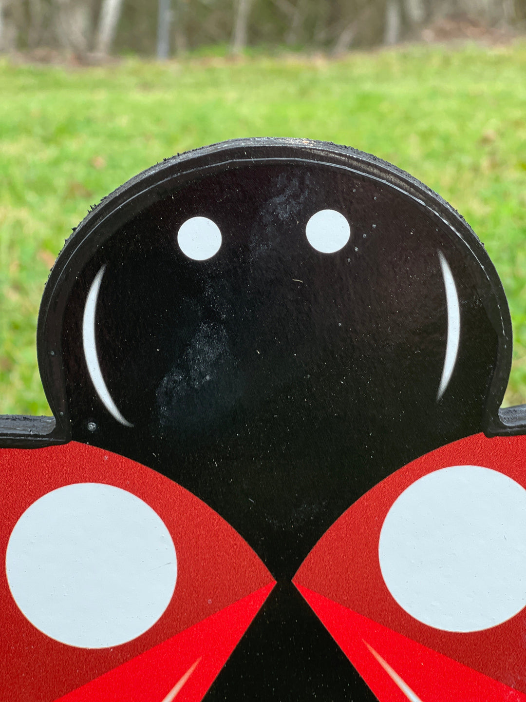 Lady bug Yard Decoration Sign