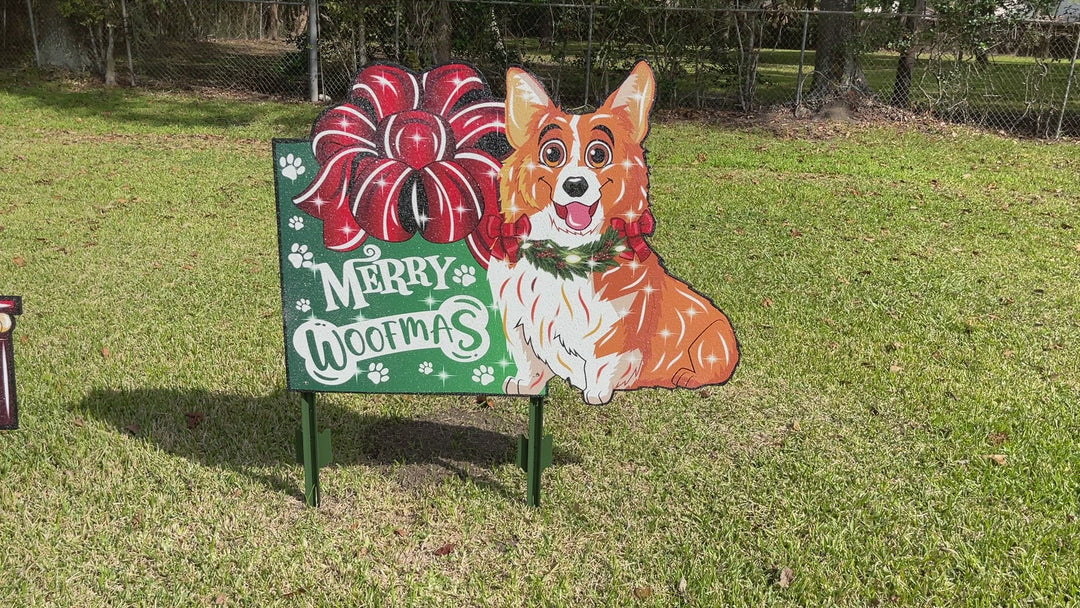 Corgie Dog stands beside a Christmas Present