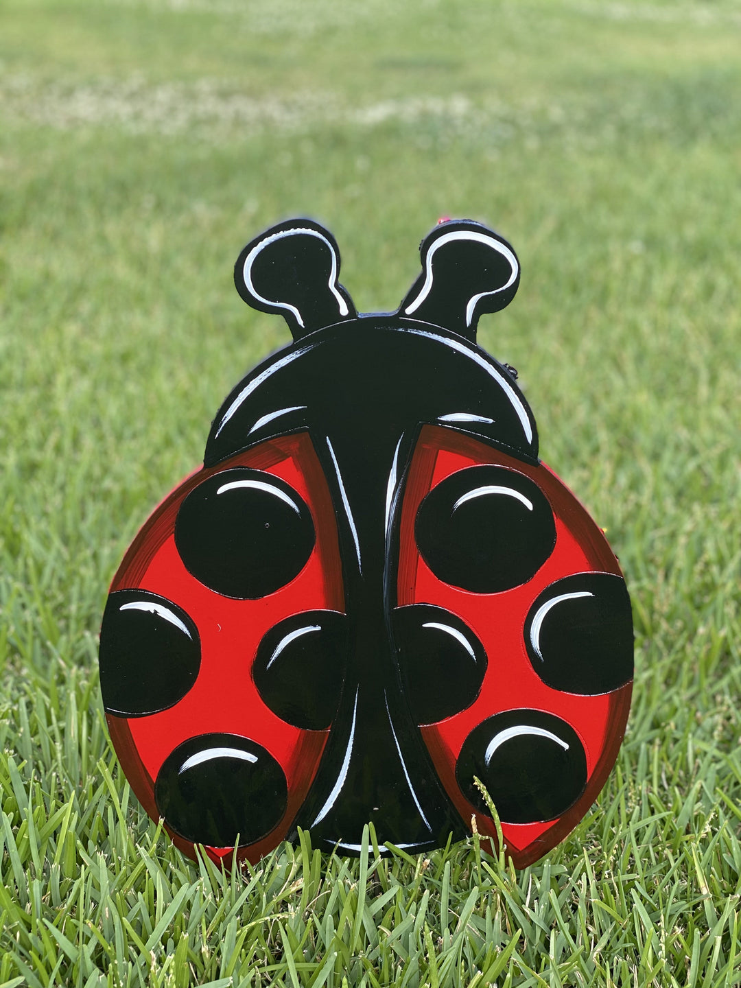 painted lady bug paint party blanks